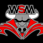 Wild Side Motorcycles