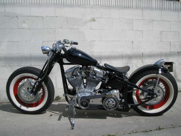 Softail-2