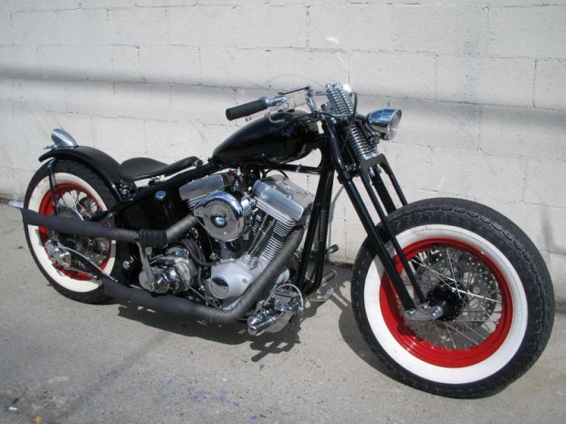 Softail-3