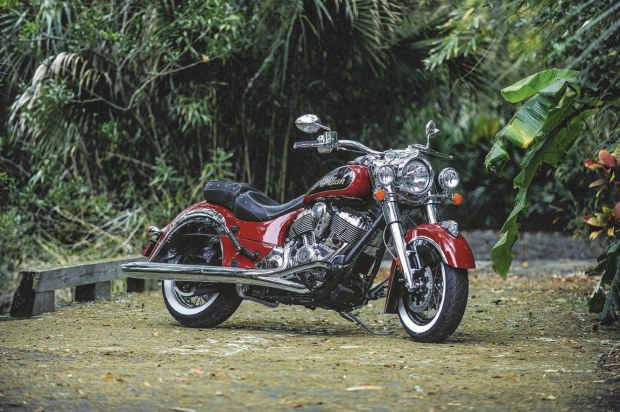 Chieftain-red-cream-5