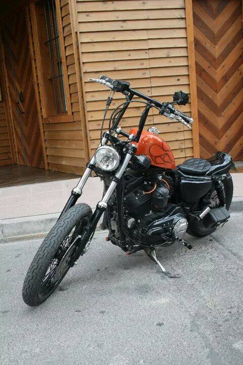 Sportster-2