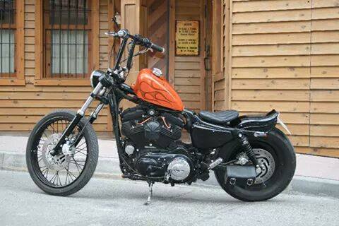 Sportster-3