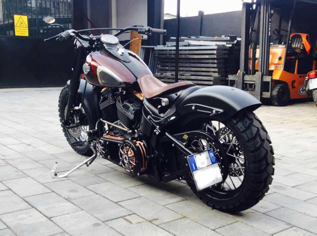 Softail_Harley-2