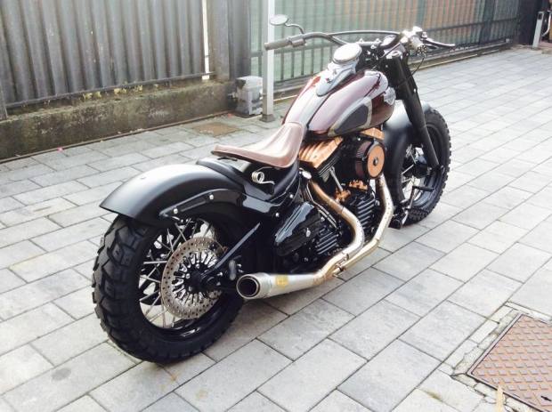 Softail_Harley-3