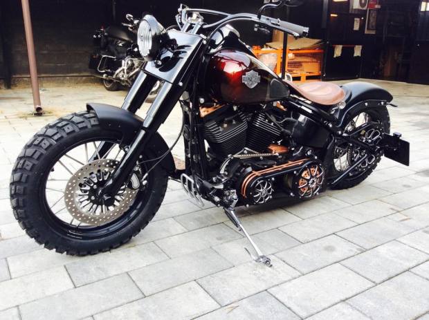 Softail_Harley