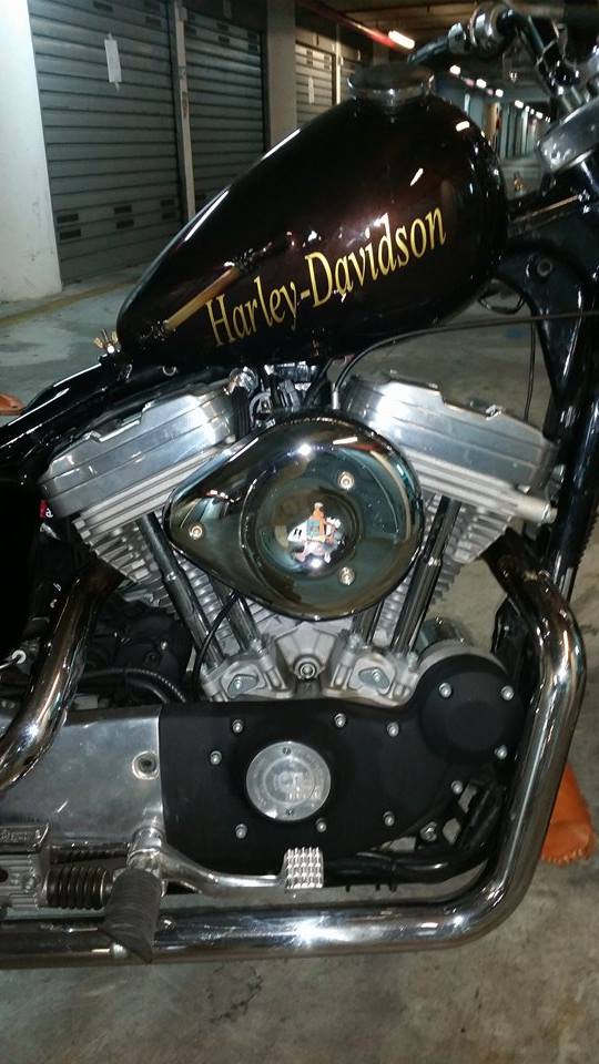 Sportster-2