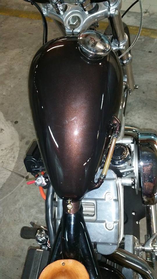 Sportster-4