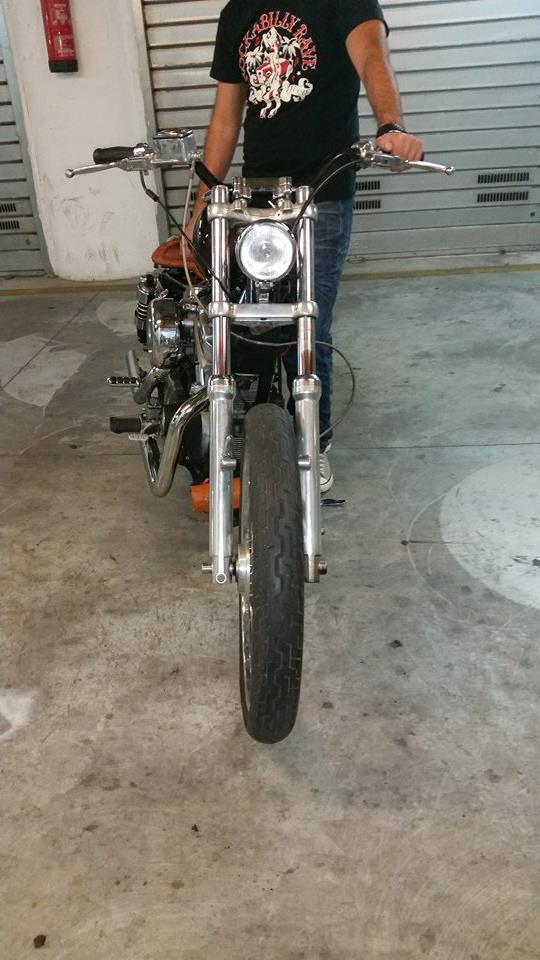 Sportster-6