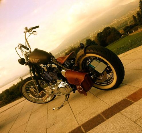 Sportster_Waka-11