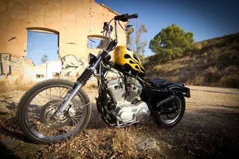 Sportster_Chopper_Gold-3