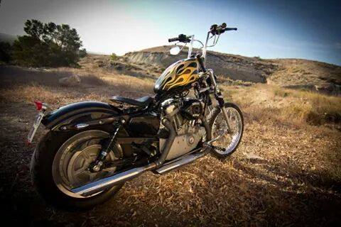 Sportster_Chopper_Gold-4