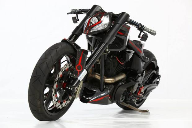 Lobo-11