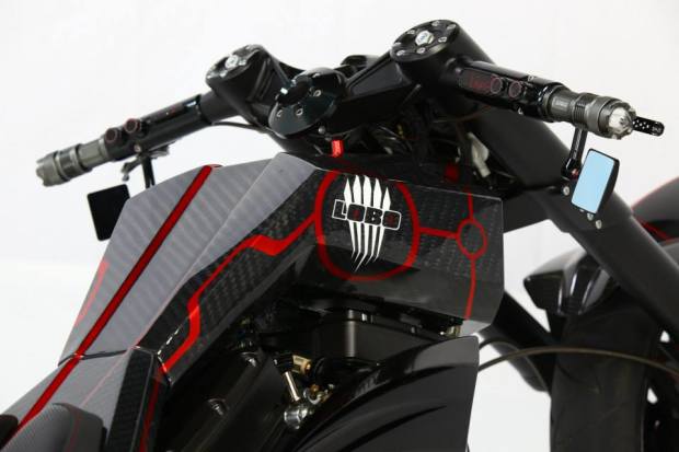 Lobo-4