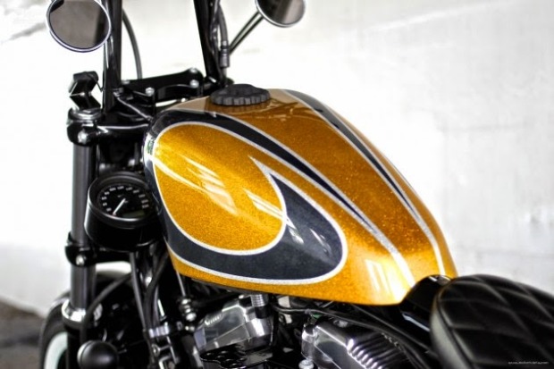 Sportster-Forty-Eight-HiDeMo-2