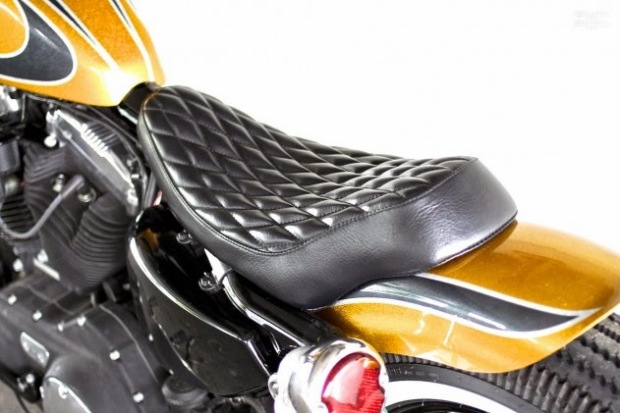 Sportster-Forty-Eight-HiDeMo-5