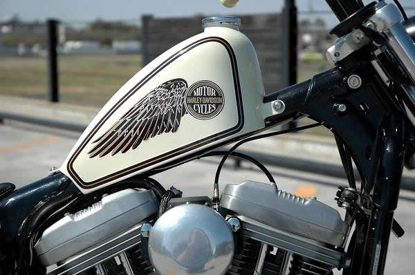 Sportster Chopper - 6