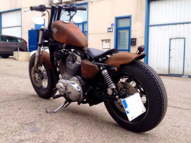 SPORTSTER Ruggine 1