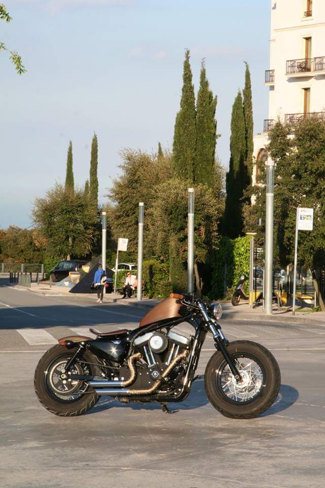 SPORTSTER Ruggine 2