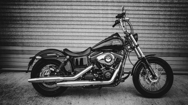 Street bob 1