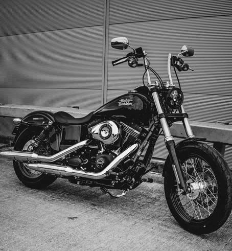 Street bob 4