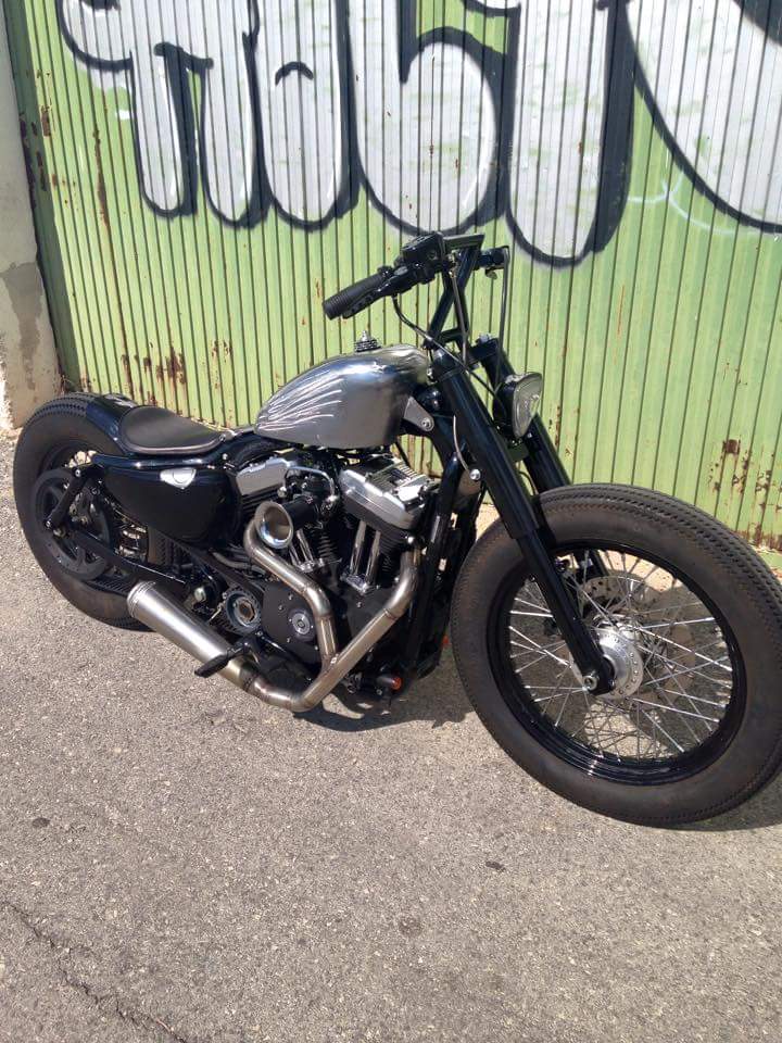 Sportster 2