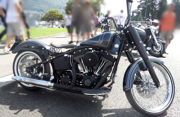 Softail 4