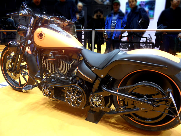 HD Softail 1