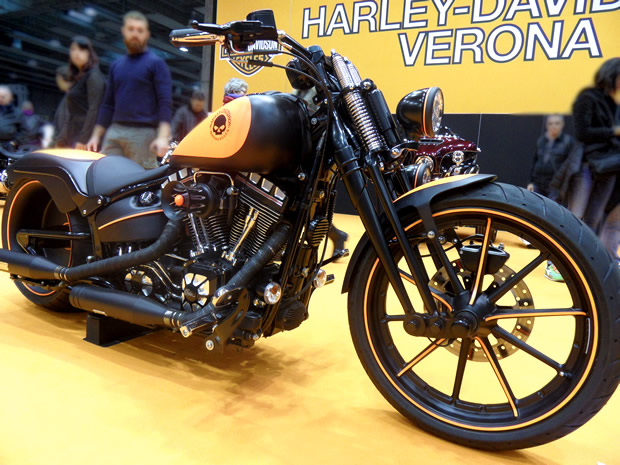 HD Softail 5
