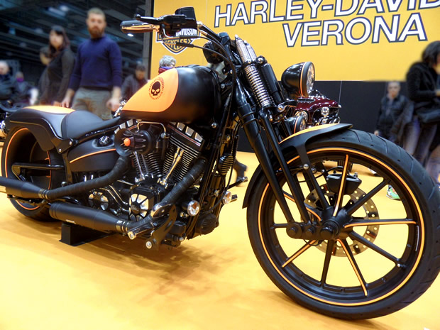 HD Softail 5