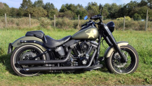 Harley Davidson Slim S Screamin Eagle 110